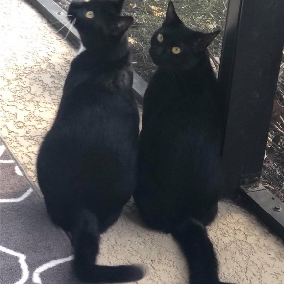 Meet the Posher...Pam - Picture 3 of 16